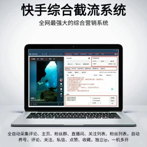 快手综合工具(3年/永久)-青萍剑